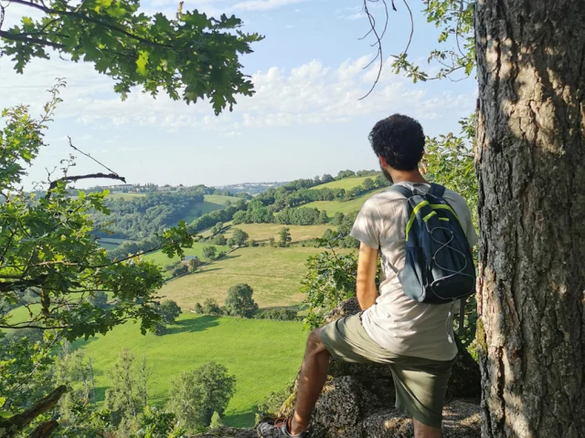 Vue depuis le bois