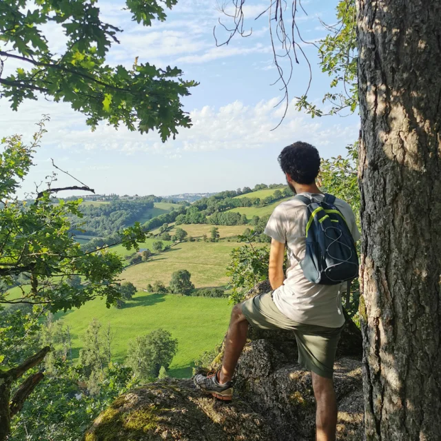 Vue depuis le bois