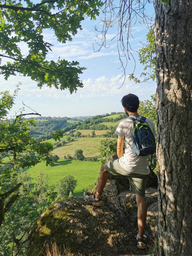 Vue depuis le bois