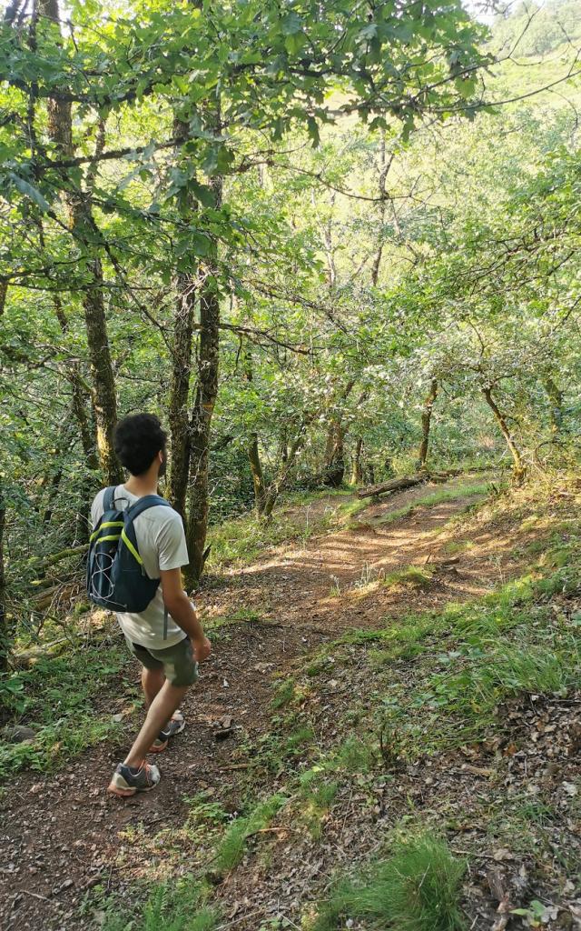 Sur un chemin dans le bois d'olemps