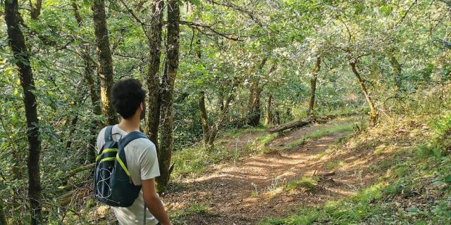 Sur un chemin dans le bois d'olemps