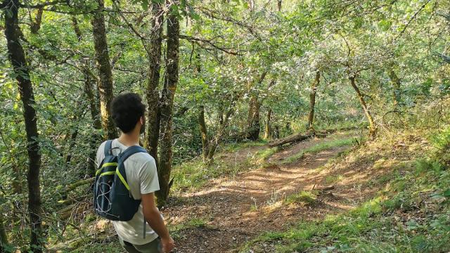 Sur un chemin dans le bois d'olemps