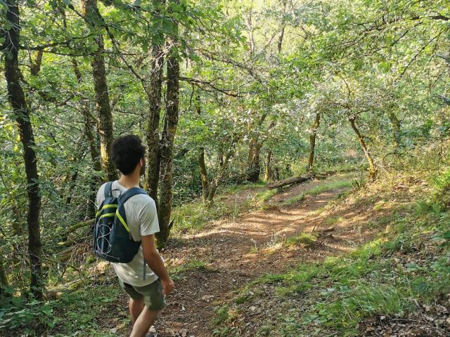 Sur un chemin dans le bois d'olemps