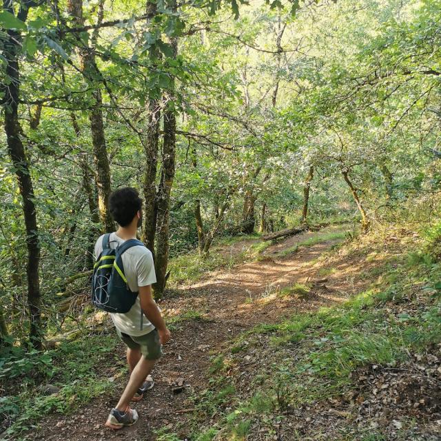 Sur un chemin dans le bois d'olemps