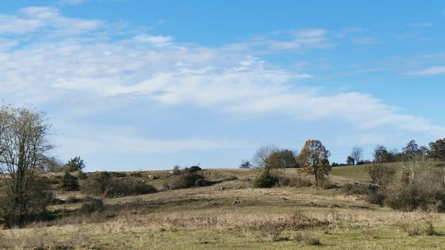 Paysage caussenard