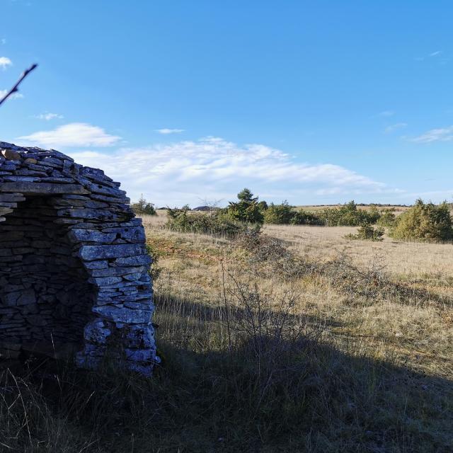 Cazelle sur le Causse