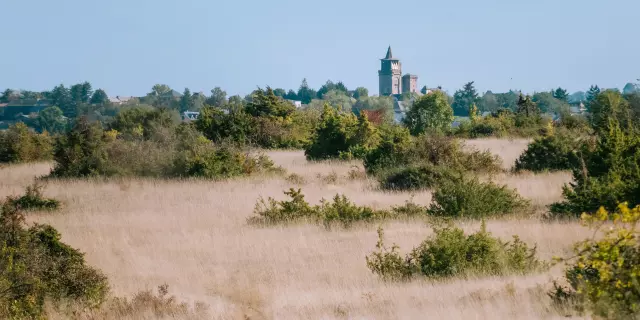 Paysage de causse - Sainte-Radegonde