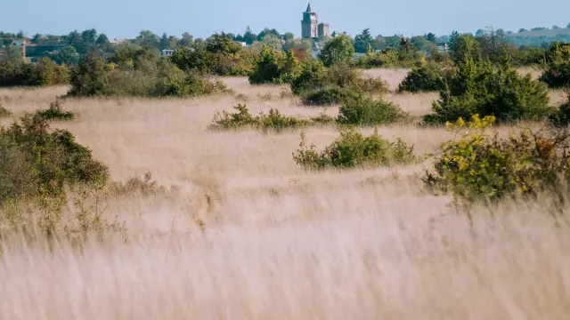 Paysage de causse - Sainte-Radegonde