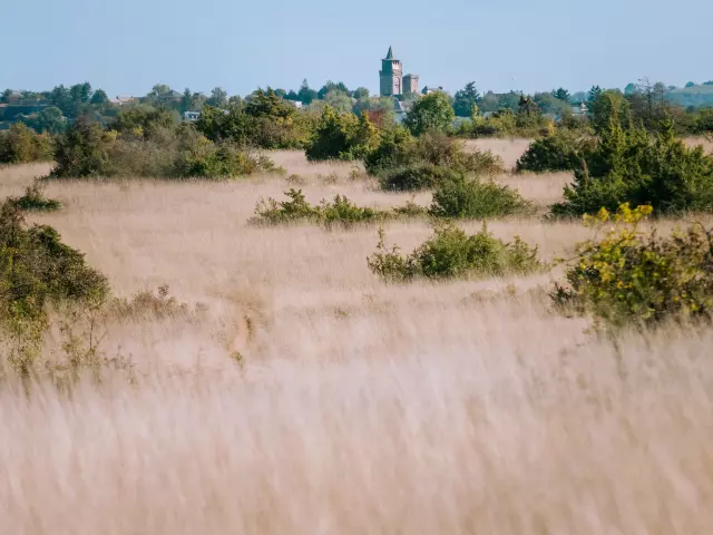 Paysage de causse - Sainte-Radegonde