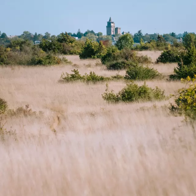 Paysage de causse - Sainte-Radegonde