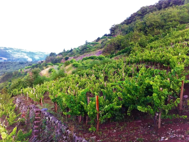 Domaine des Boissières